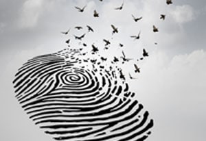 What Do I Need to Know About My Canadian Citizenship Revocation